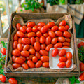 Tomate Libra