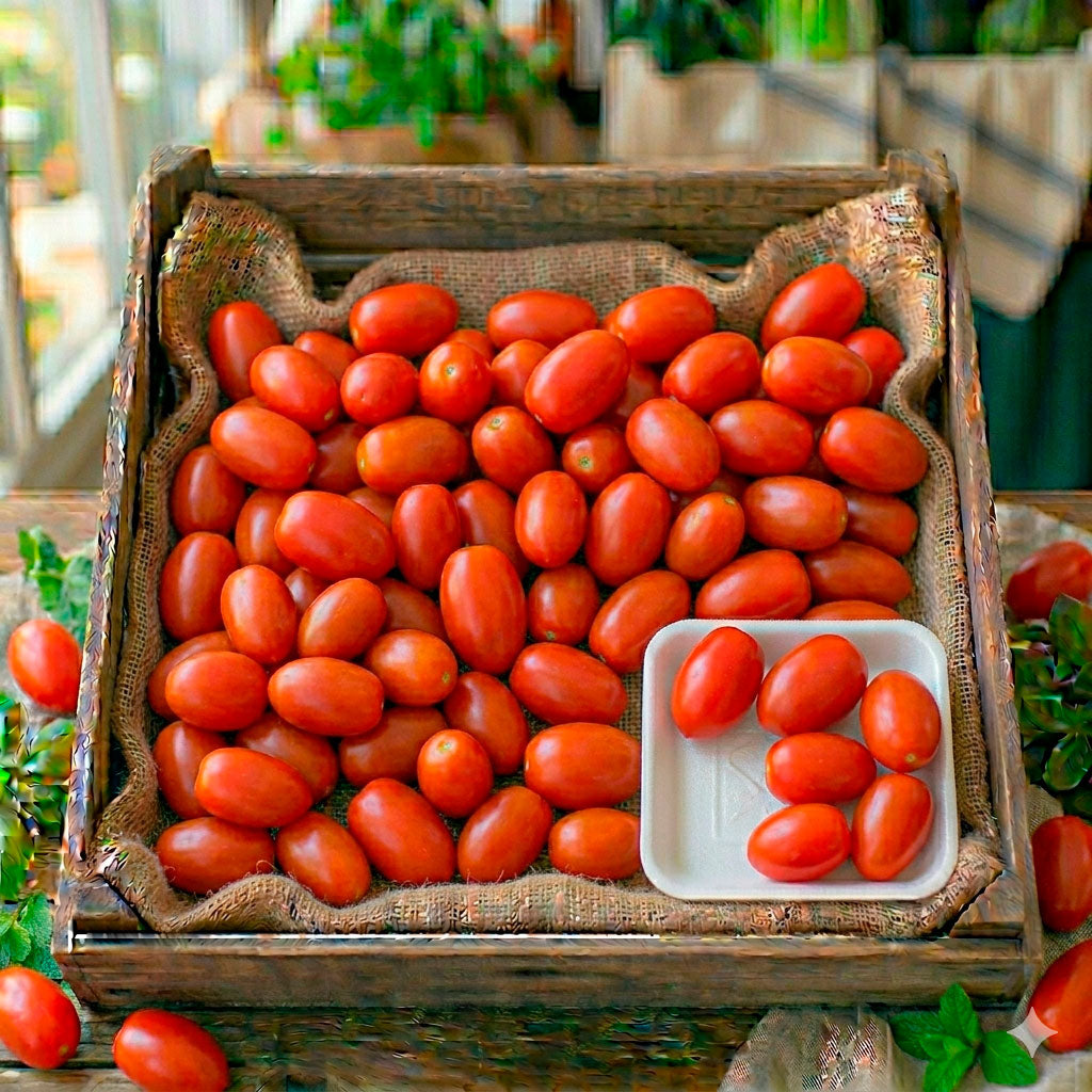 Tomate Libra