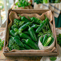 Chile Jalapeño Libra
